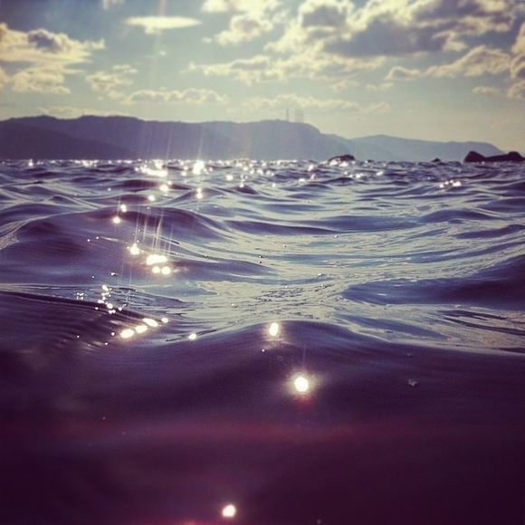 Meet your Posher, Marilyse - Picture 1 of 1